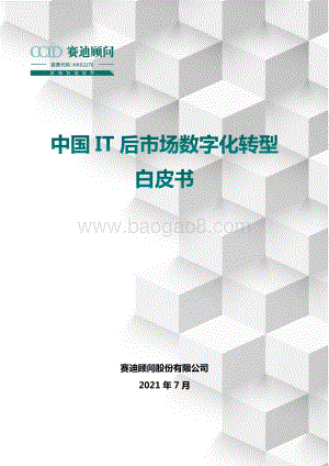 中国IT后市场数字化转型白皮书.pdf