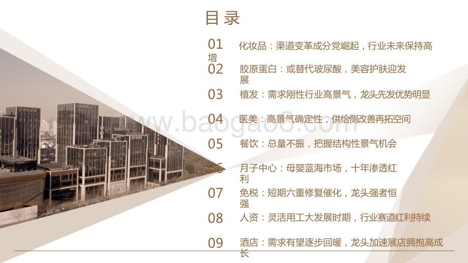 2021-2022年商社投资前景研究报告.pptx_第4页