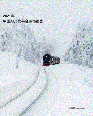 2021年中国AI开发平台市场报告.pdf