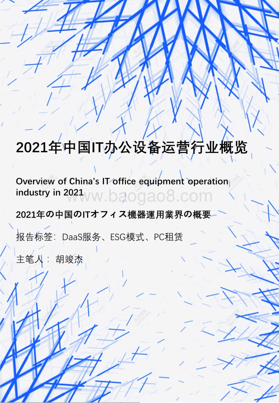 2021年中国IT办公设备运营行业概览.pdf_第1页