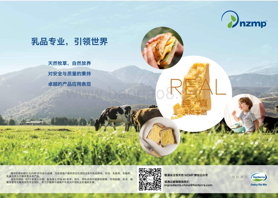 奶酪食品.pdf_第3页