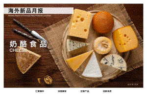 奶酪食品.pdf