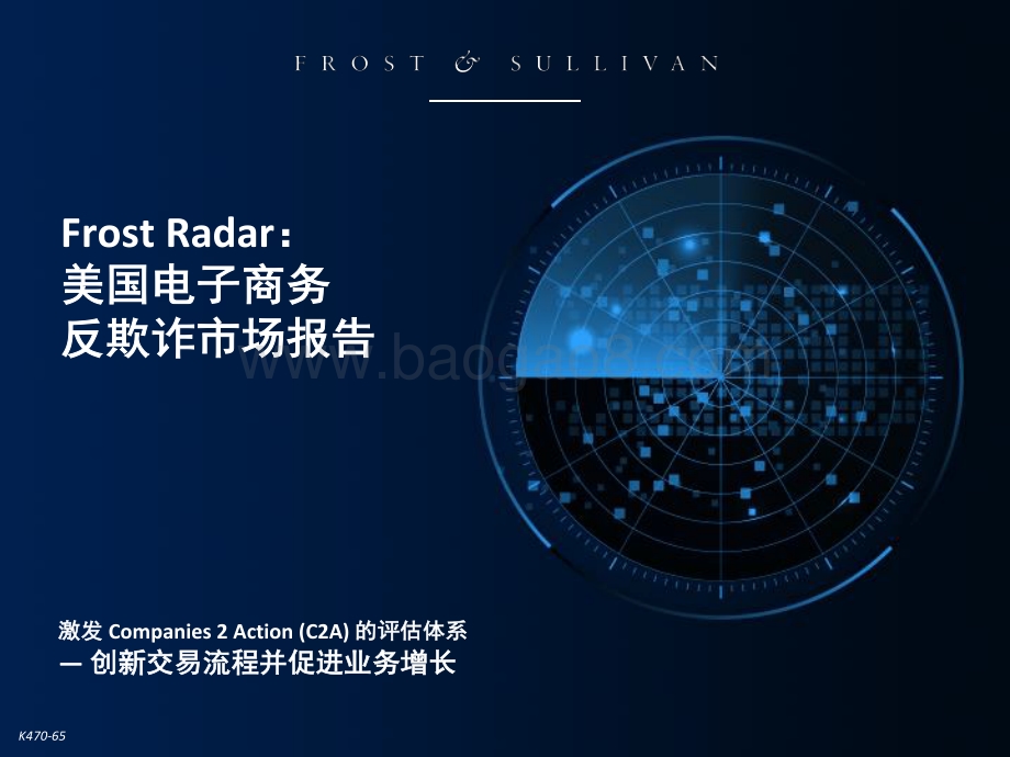 美国电子商务反欺诈市场报告.pdf_第1页