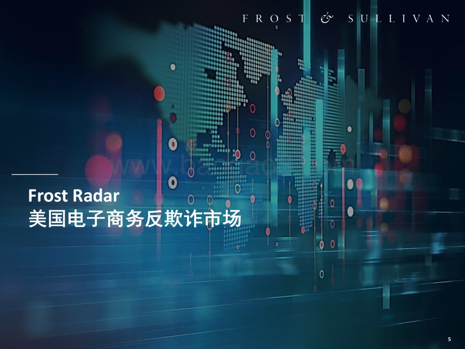 美国电子商务反欺诈市场报告.pdf_第5页