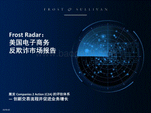 美国电子商务反欺诈市场报告.pdf