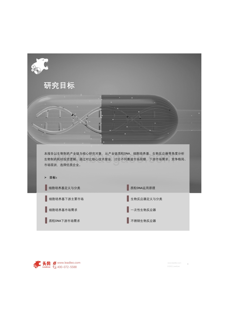 2021年中国生物医药投资策略（二）.pdf_第3页