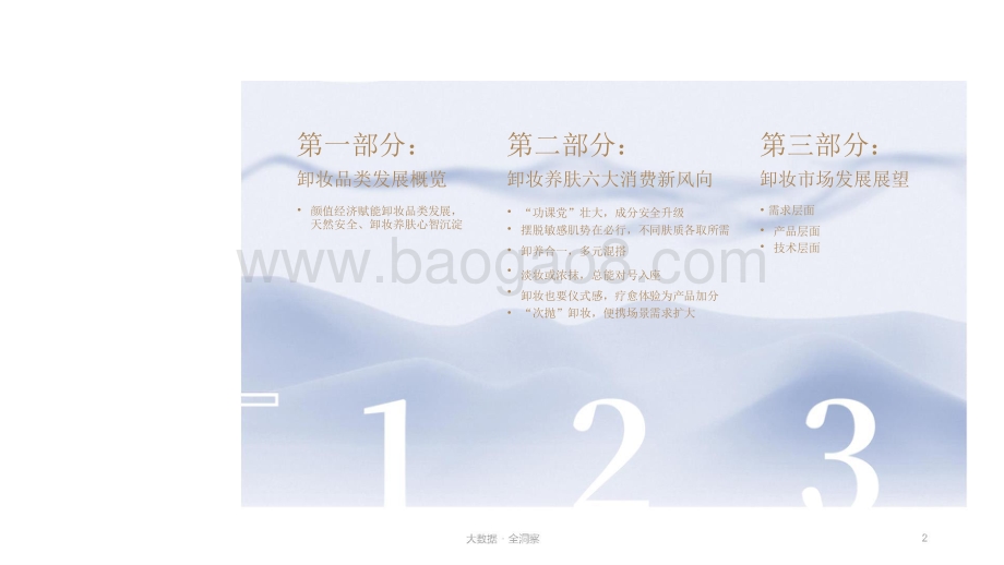 2021-2022年卸妆趋势洞察报告.pptx_第2页