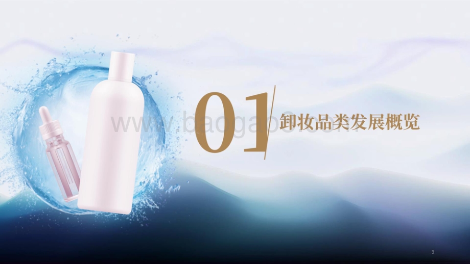 2021-2022年卸妆趋势洞察报告.pptx_第3页