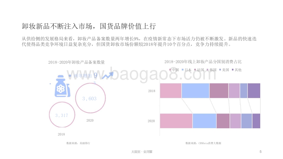 2021-2022年卸妆趋势洞察报告.pptx_第5页