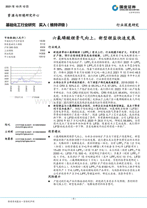 六氟磷酸锂景气向上新型锂盐快速发展.pdf