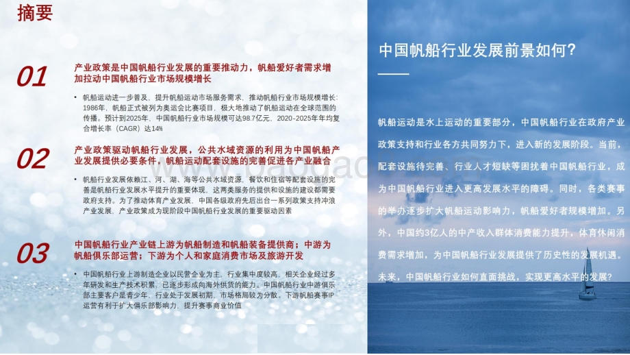 2021-2022年中国帆船行业短报告.pdf_第2页