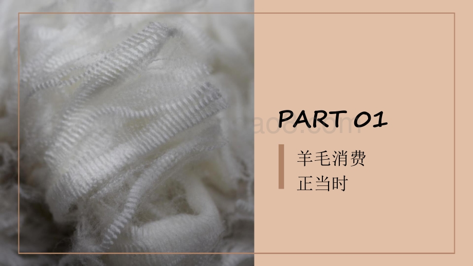 2021-2022羊毛材质消费趋势洞察报告.pdf_第3页