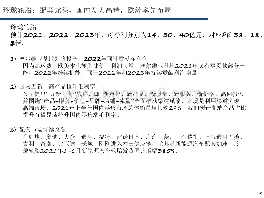 2021-2022轮胎行业发展研究报告.pdf_第5页