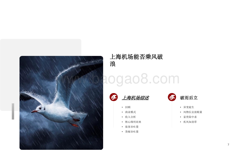 2021-2022年上海机场商业发展研究报告.pptx_第5页