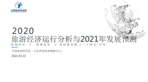 2020旅游经济运行分析与2021年发展预测.pdf