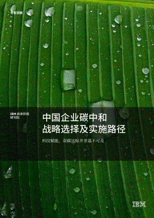 中国企业碳中和战略选择及实施路径：科技赋能双碳达标并非遥不可及.pdf