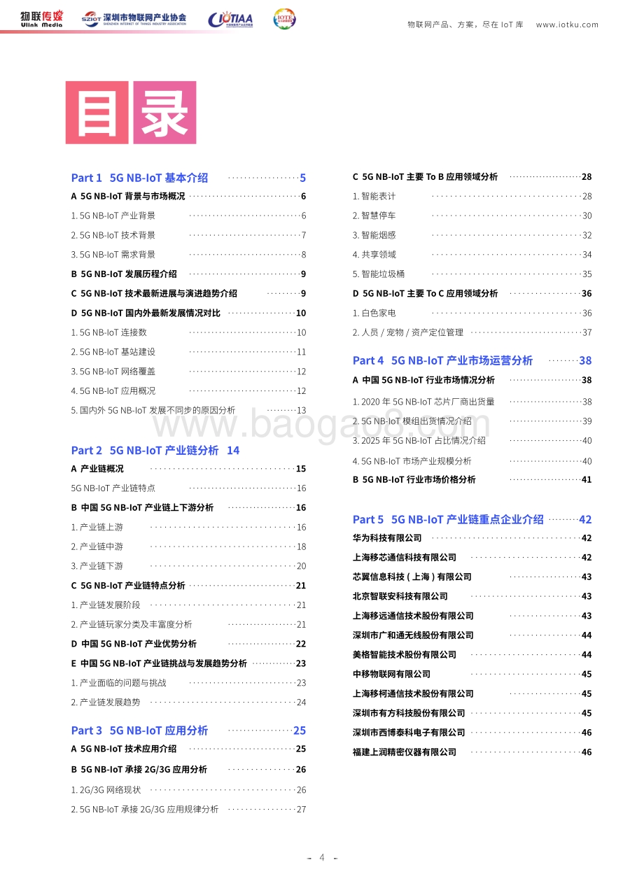 2021版中国5G NB-IoT产业市场调研报告.pdf_第3页