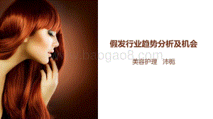 假发行业趋势分析及机会.pdf