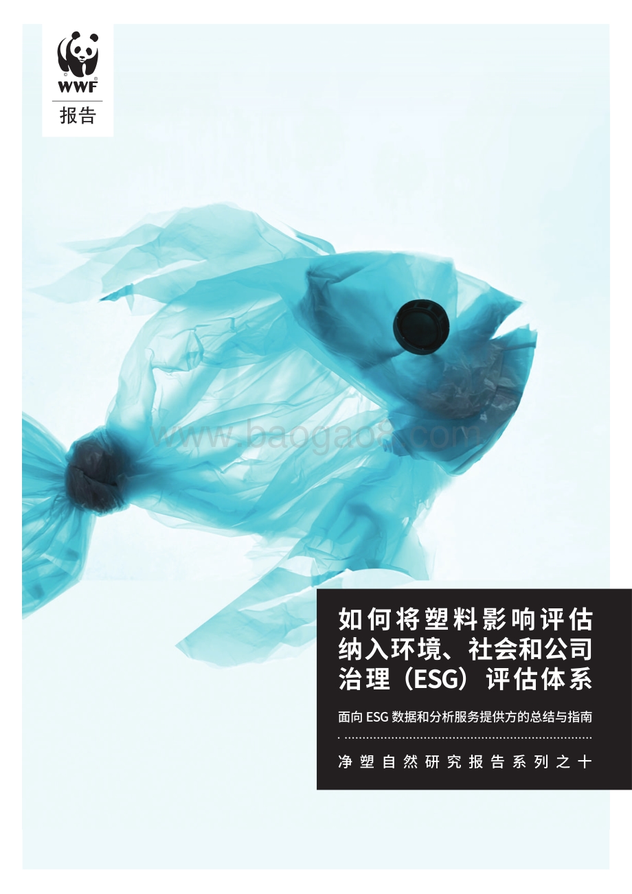 净塑自然研究报告系列之十：如何将塑料影响评估纳入环境、社会和公司治理（ESG）评估体系.pdf_第1页