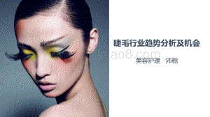 睫毛行业趋势分析及机会.pdf