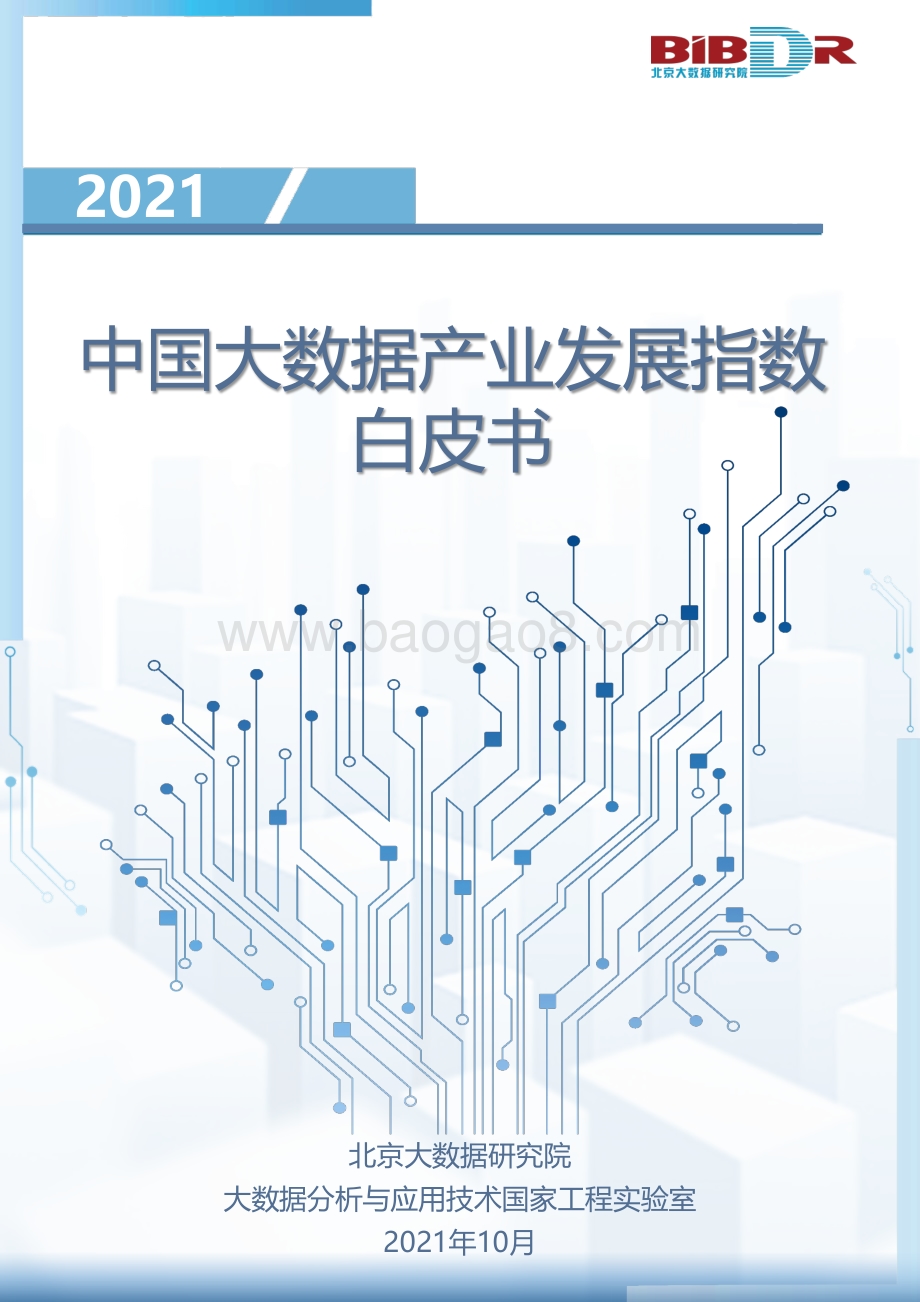 2021中国大数据产业发展指数白皮书.pdf_第1页