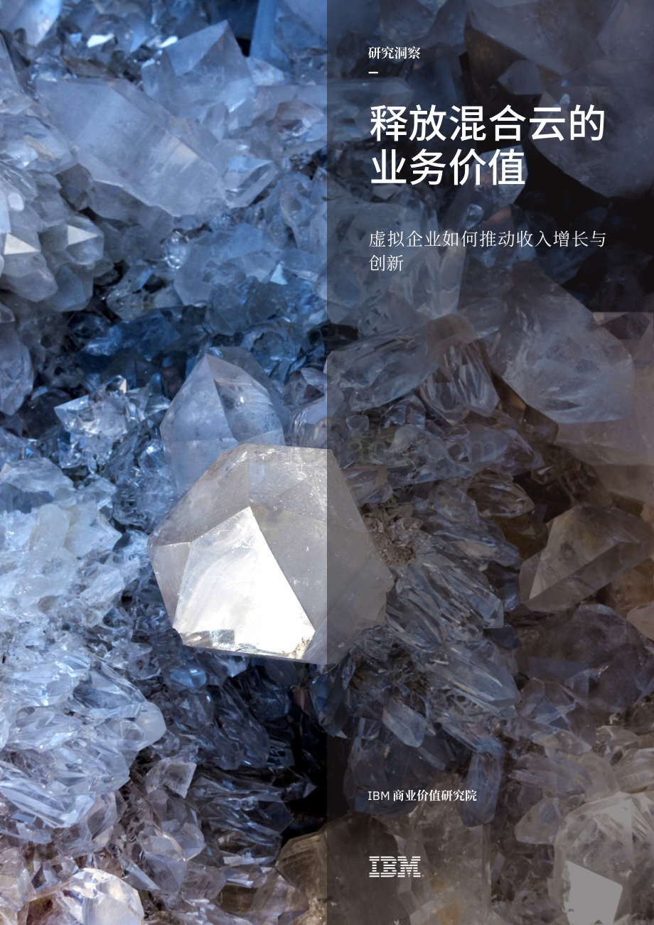 释放混合云的业务价值：虚拟企业如何推动收入增长与创新.pdf_第1页
