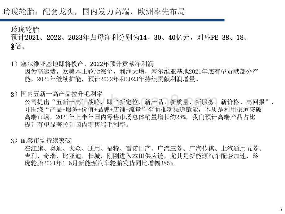 2021-2022轮胎行业发展研究报告.pptx_第5页