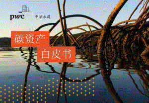 碳资产白皮书.pdf