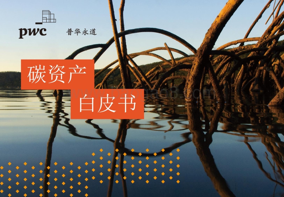 碳资产白皮书.pdf_第1页