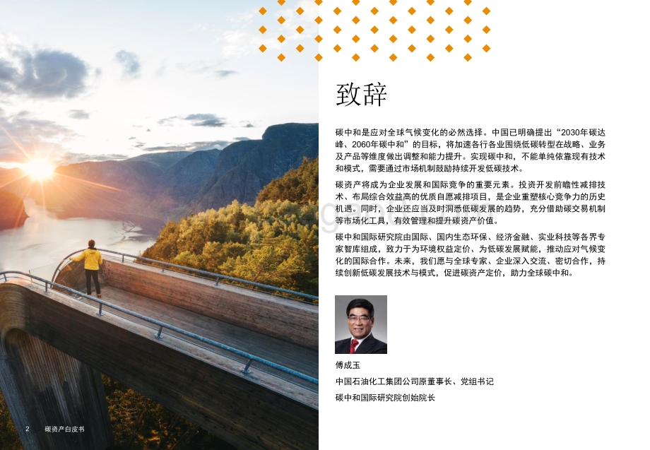 碳资产白皮书.pdf_第2页