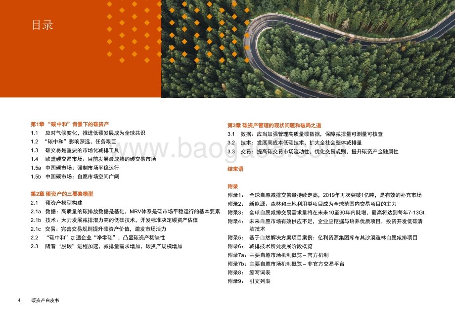 碳资产白皮书.pdf_第4页