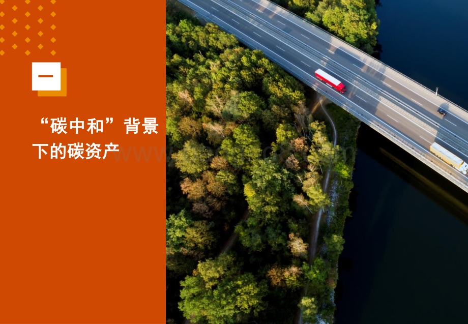 碳资产白皮书.pdf_第5页