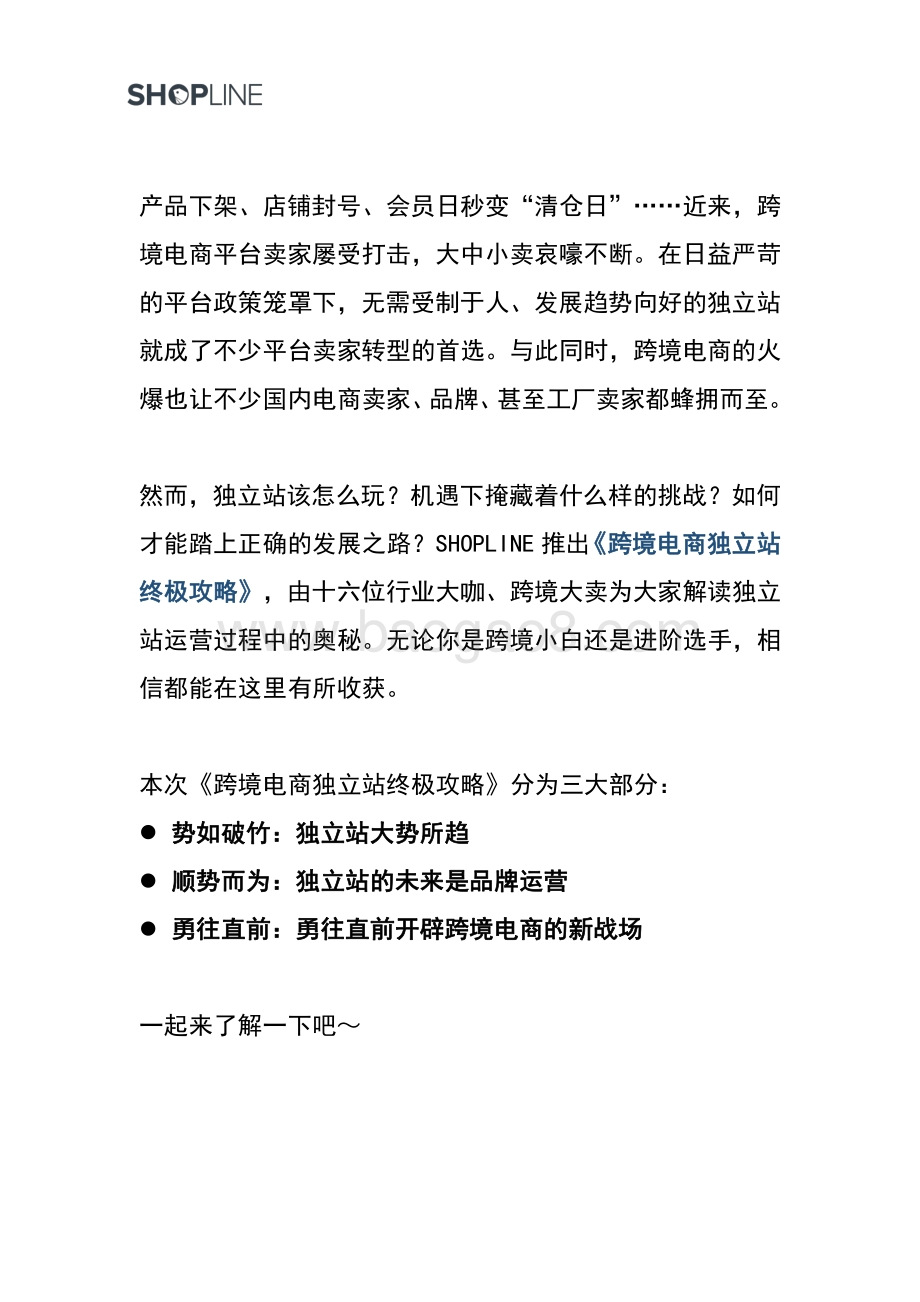 跨境电商独立站终极攻略.pdf_第2页