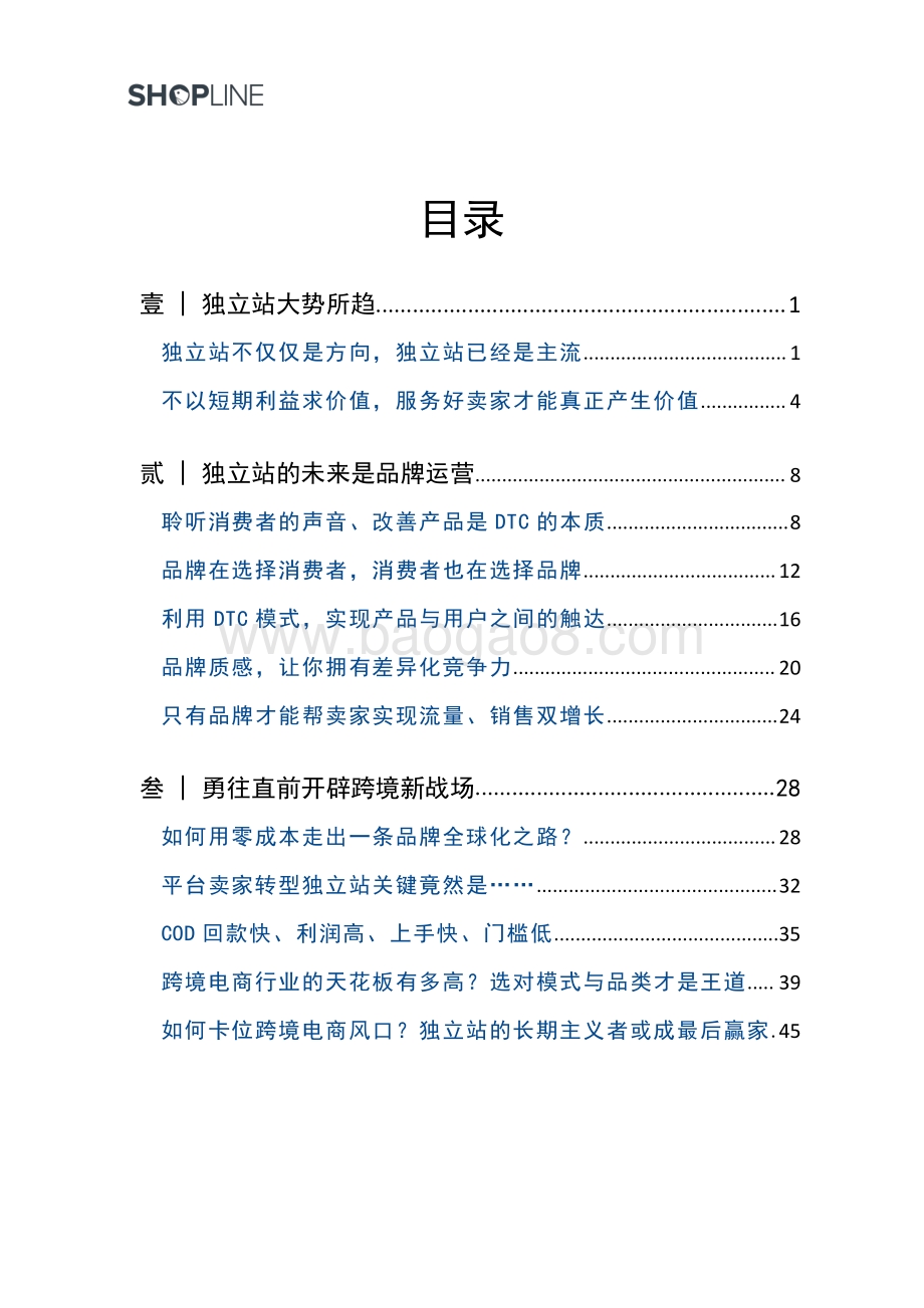 跨境电商独立站终极攻略.pdf_第3页
