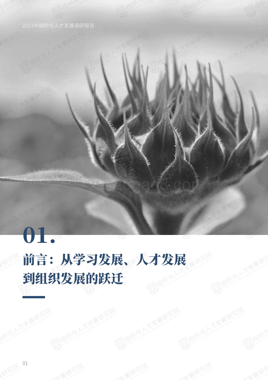 2021年组织与人才发展调研报告.pdf_第5页