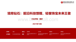 培育钻石：前沿科技馈赠轻奢珠宝未来王者.pdf