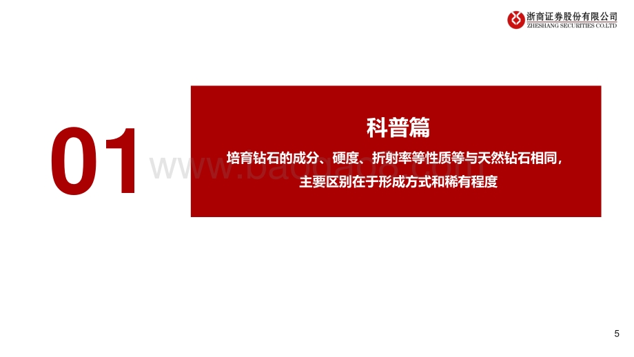 培育钻石：前沿科技馈赠轻奢珠宝未来王者.pdf_第5页