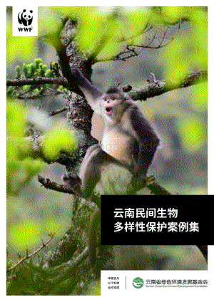 云南民间生物多样性保护案例集.pdf