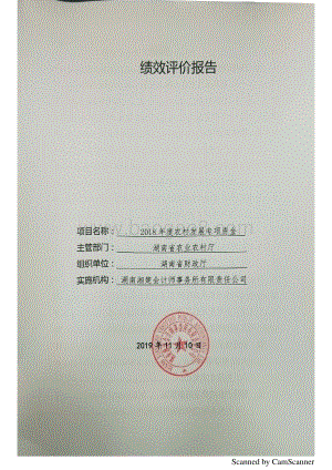 2018年农村发展专项绩效评价报告（湖南）.pdf