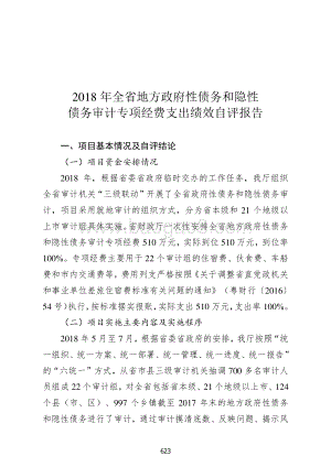 2018 年全省地方政府性债务和隐性债务审计专项经费支出绩效自评报告.pdf