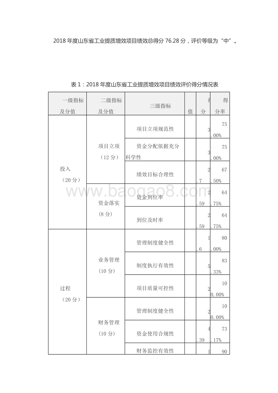 2018年度工业提质增效和军民融合产业发展资金（工业提质增效升级资金）绩效评价报告（山东）.docx_第5页