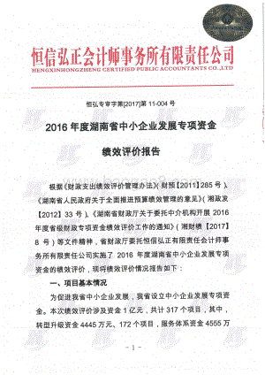 2016年中小企业发展专项绩效评价报告（湖南）.pdf