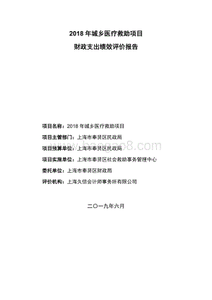 2018年城乡医疗救助项目绩效评价报告.docx