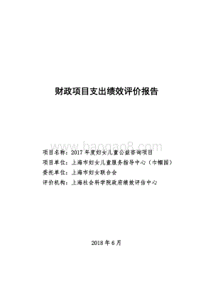 2017 年度妇女儿童公益咨询项目绩效评价报告.pdf