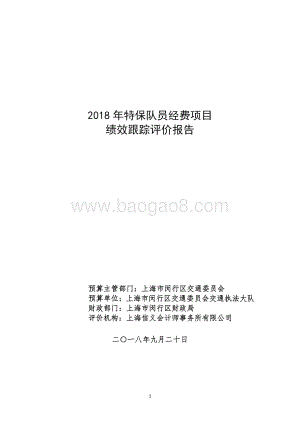 2018年特保队员经费项目绩效跟踪评价报告.pdf