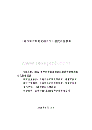 2017年度龙华街道徐家汇街道市容环境社会化管理项目绩效评价报告.pdf