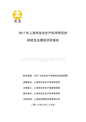 2017 年安全生产资格考试考核经费绩效评价报告.pdf
