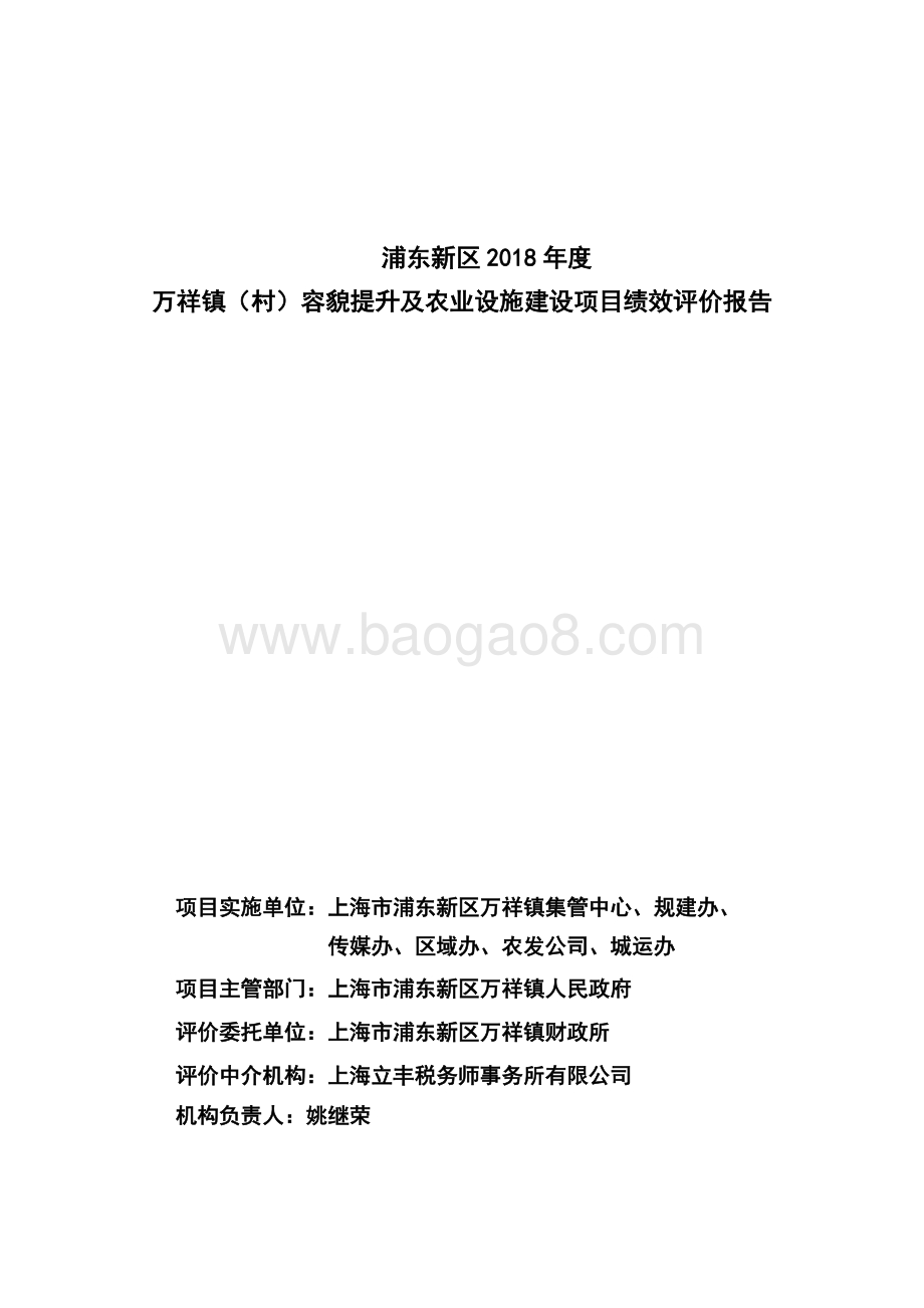 2018年度万祥镇(村)容貌提升及农业设施建设项目绩效评价报告.docx_第3页