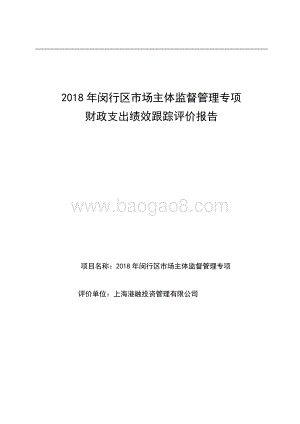 2018年闵行区市场主体监督管理专项财政支出绩效跟踪评价报告.pdf