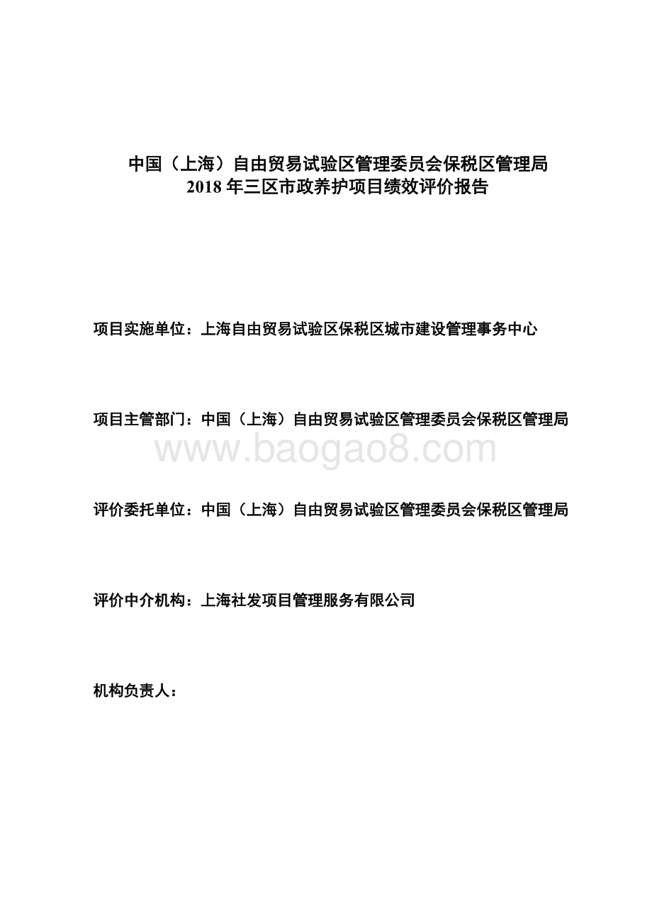 2018年三区市政养护项目绩效评价报告.doc_第2页